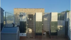 hotel para mascotas five bone