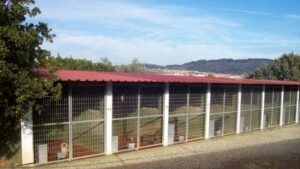 residencia canina aullidos