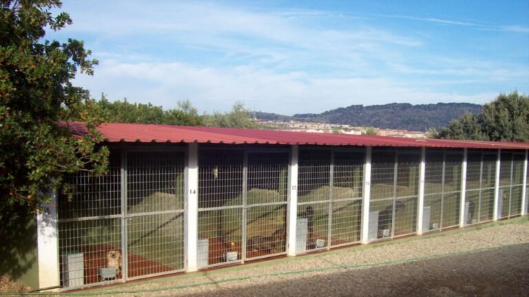 Residencia Canina Aullidos – residencia canina en Cáceres