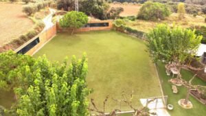 residencia canina working dog solutions
