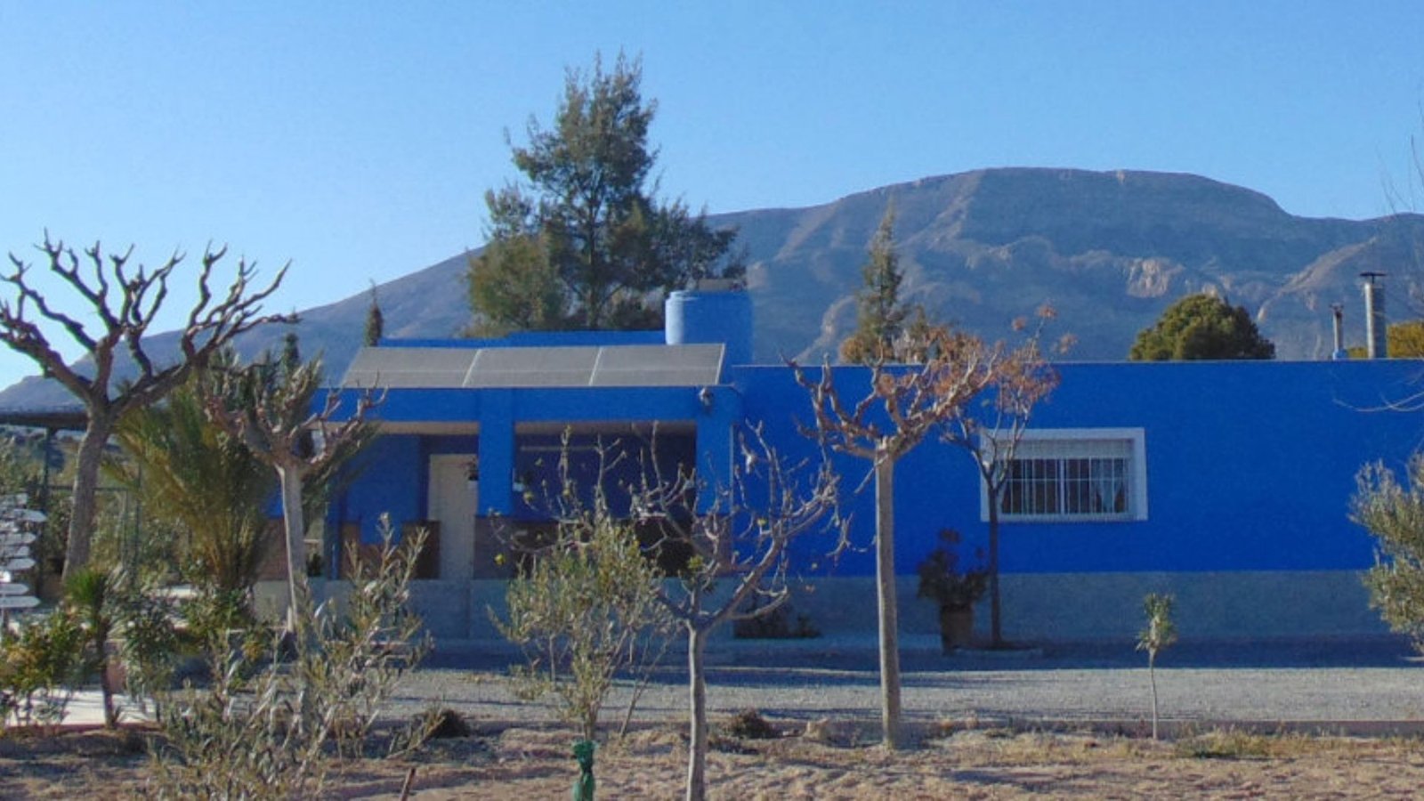 hotel para perros mar y tierra