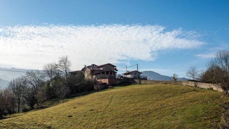 Hotel para perros la torre canina – residencia canina en Asturias