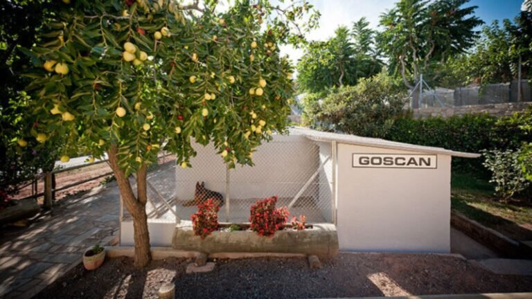 Residencia Canina Goscan – residencia canina en Barcelona