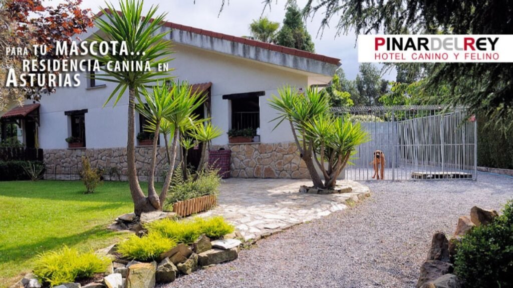 residencia canina el pinar del rey