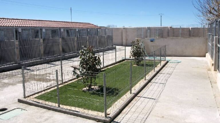 residencia canina nuestra señora de sonsoles