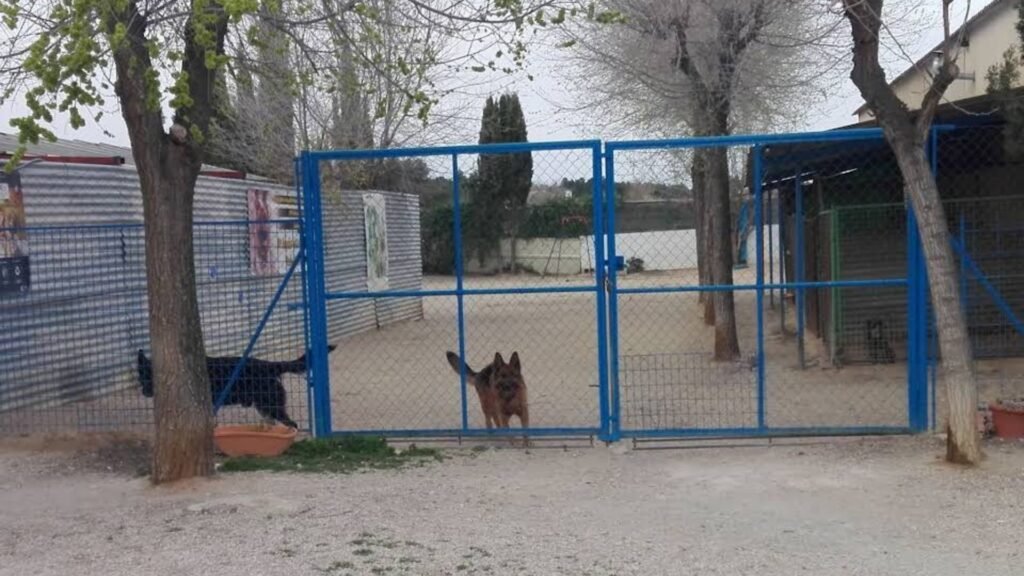 residencia canina bubacan