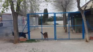 residencia canina bubacan