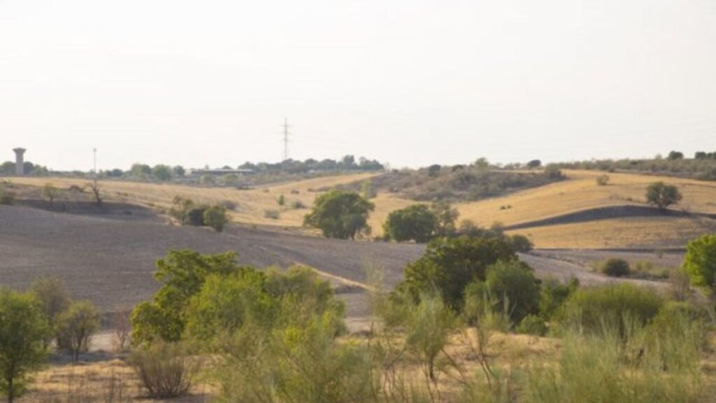 centro canino vallecan