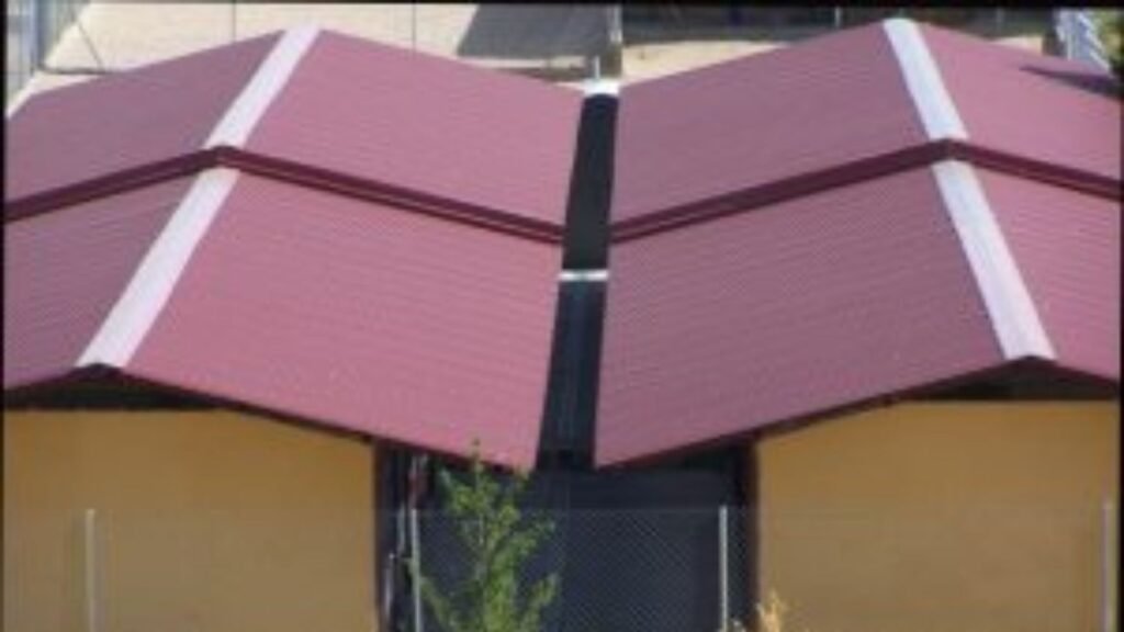 residencia canina nariz de nieve