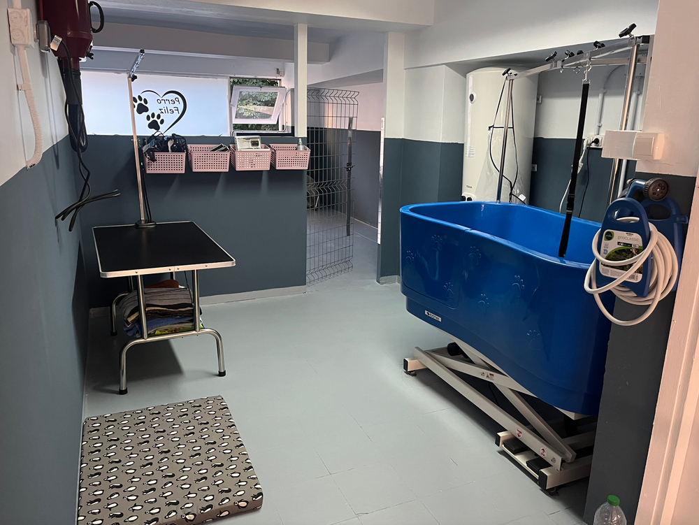 guardería canina perro feliz