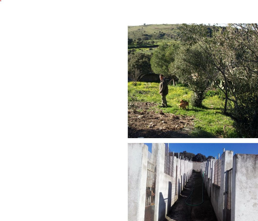 residencia canina el poligono