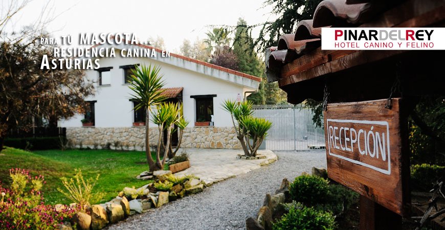 residencia canina el pinar del rey