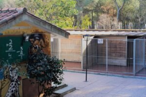 centro canino malilupus