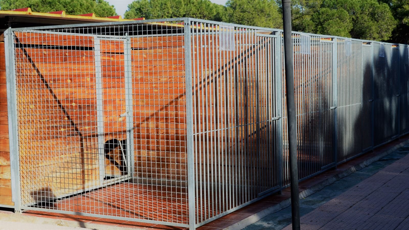 centro canino malilupus