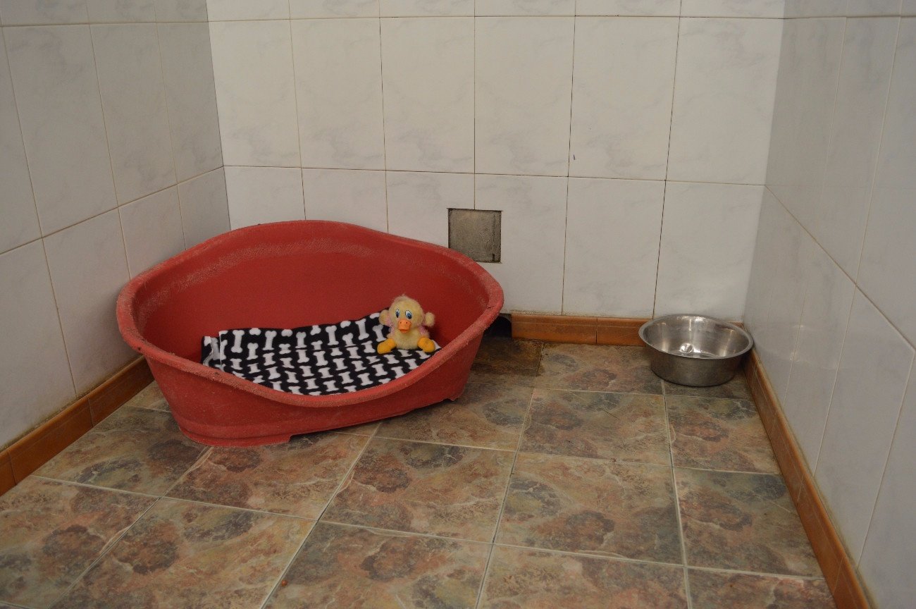 residencia canina el xelán