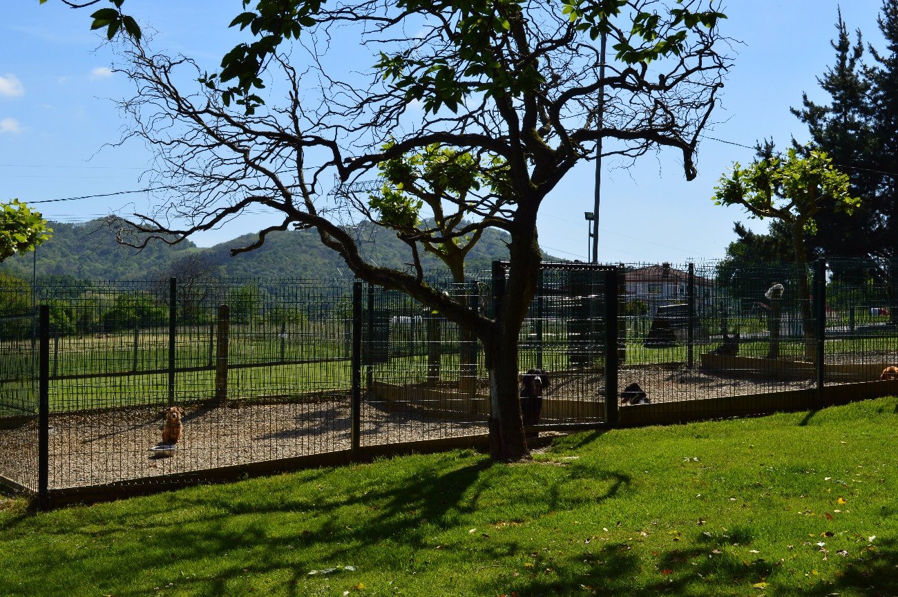 residencia canina el xelán