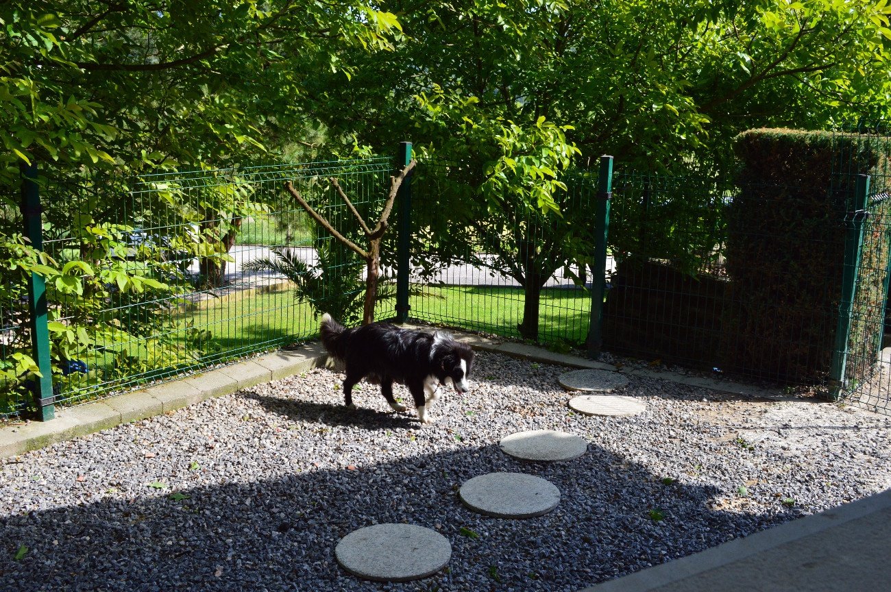 residencia canina el xelán