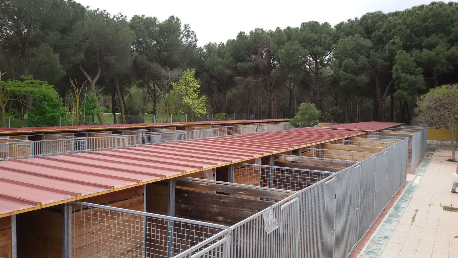 centro canino malilupus