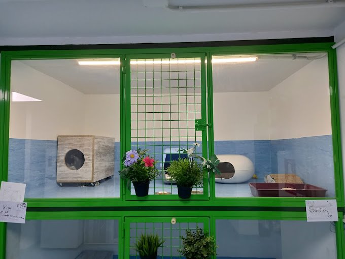 residencia para mascotas animal solución