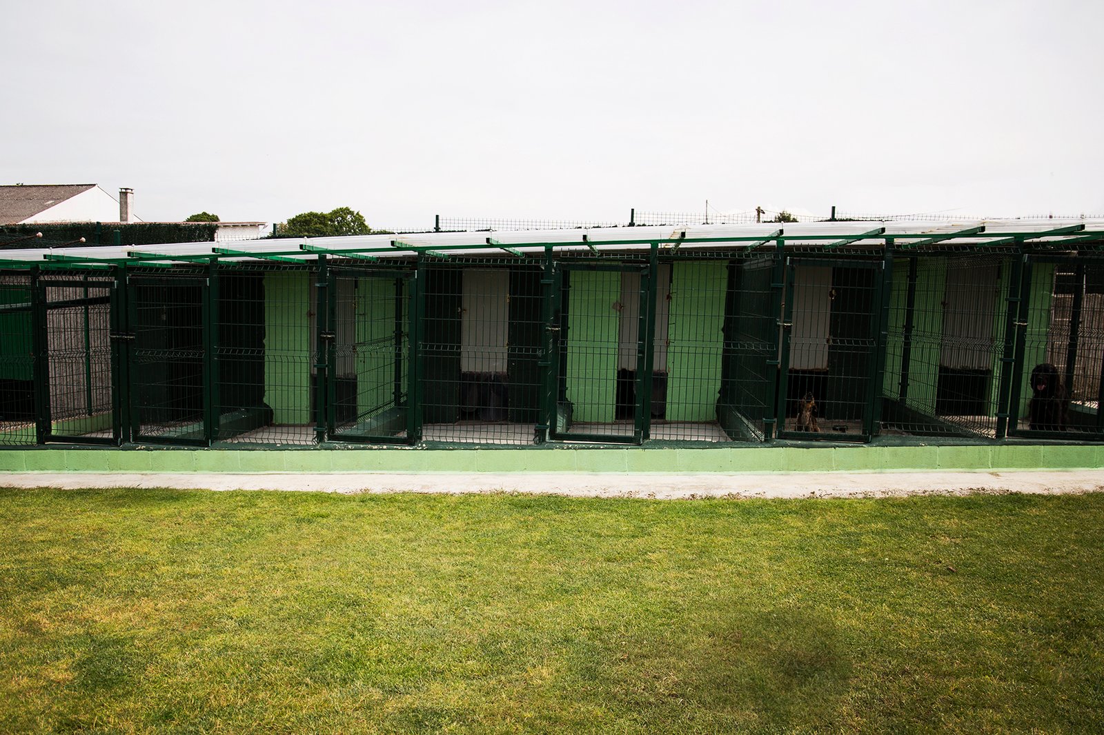 hotel canino entreperros