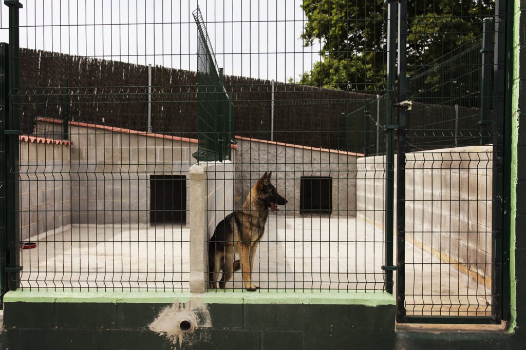 hotel canino entreperros