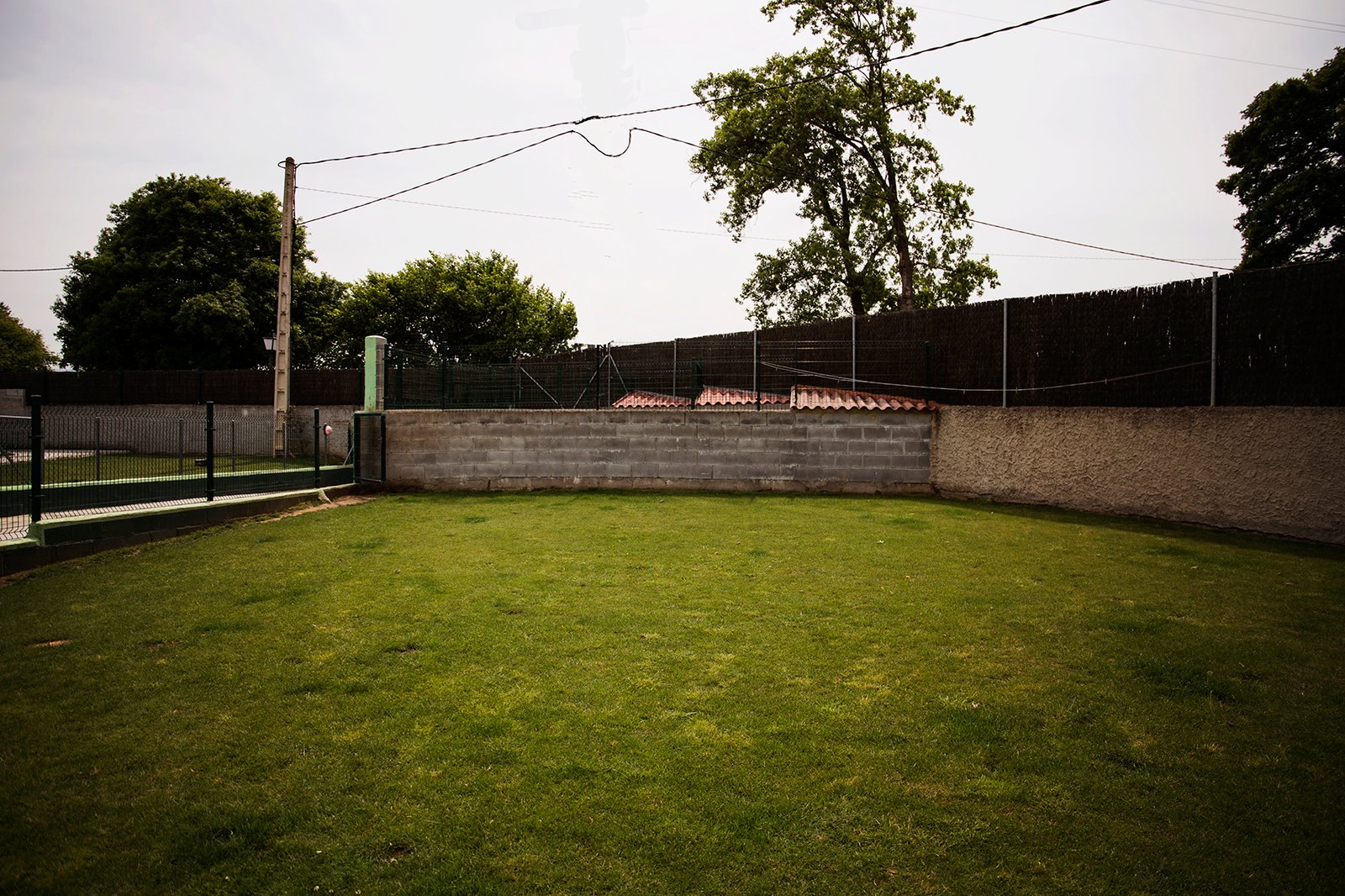 hotel canino entreperros