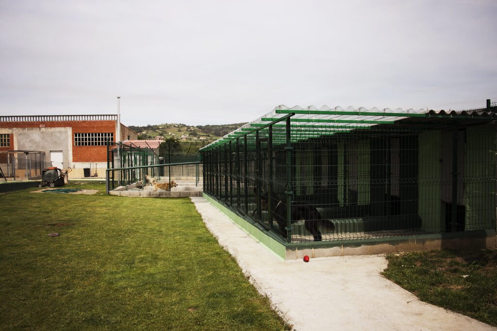 hotel canino entreperros