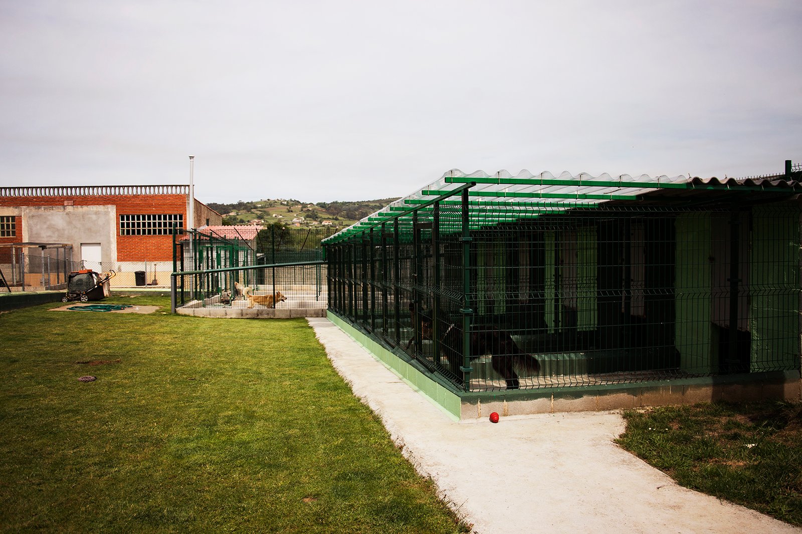 hotel canino entreperros