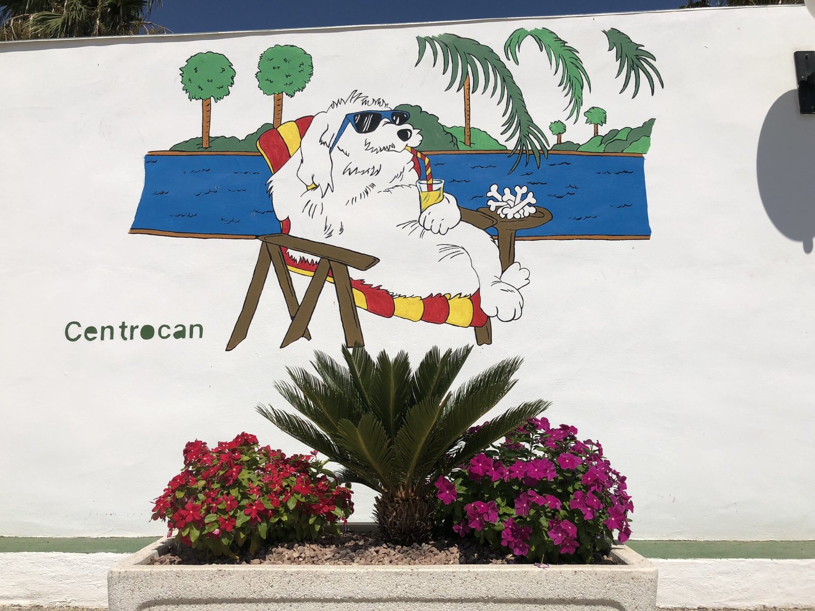 hotel para mascotas centrocan