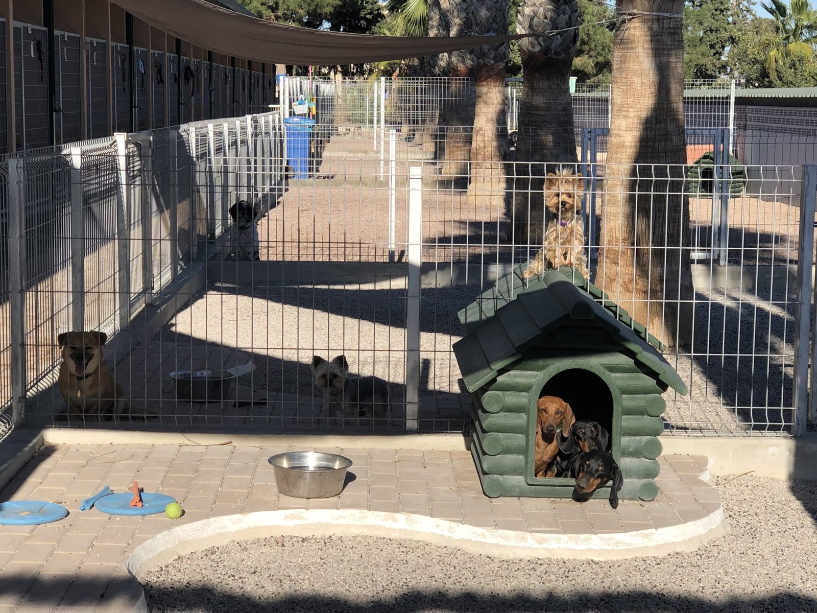 hotel para mascotas centrocan