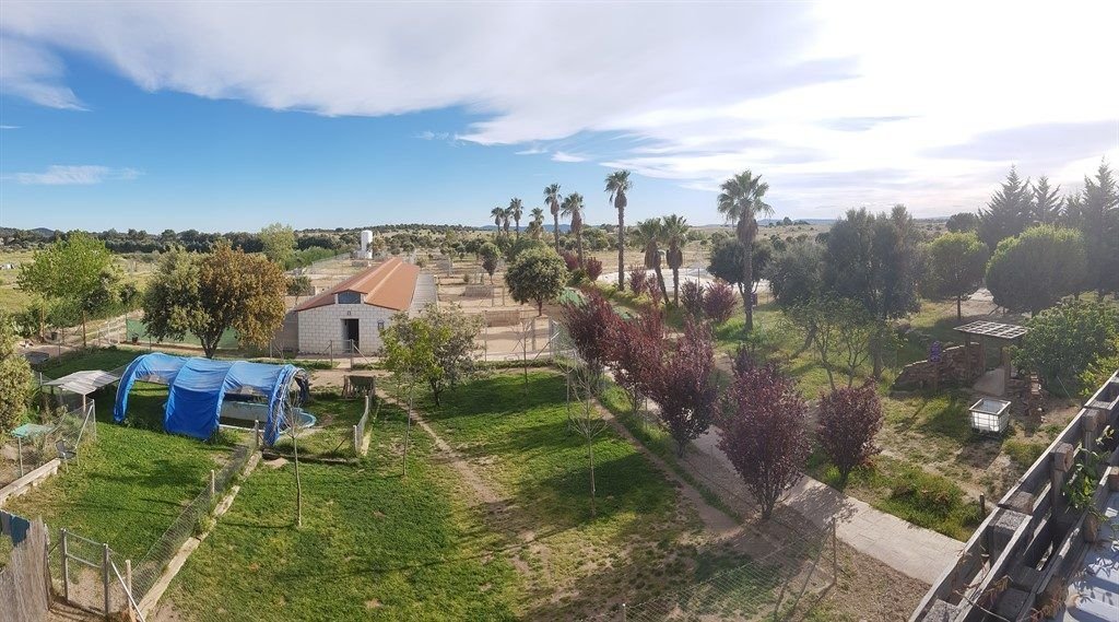 residencia canina mascout