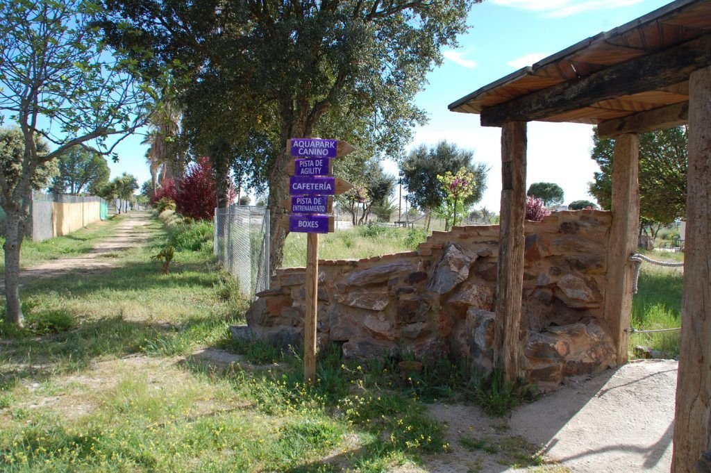 residencia canina mascout