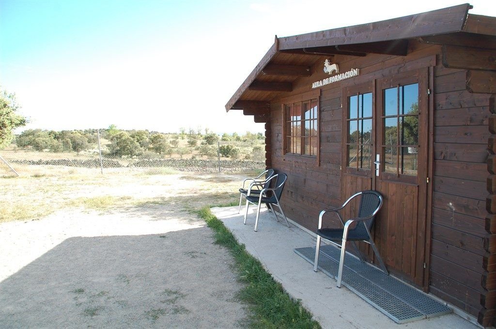 residencia canina mascout