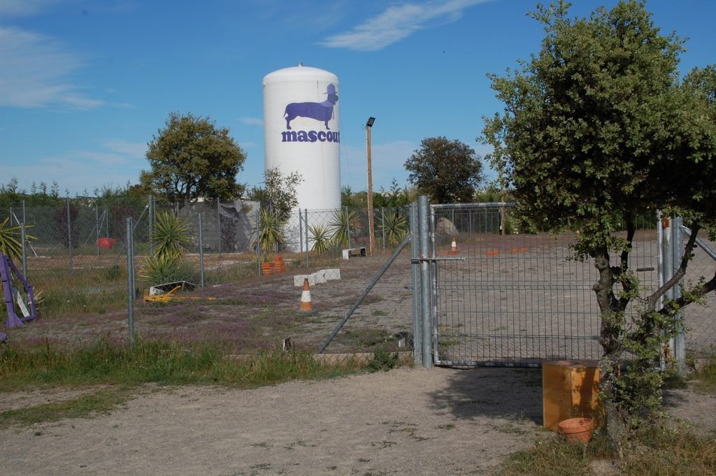 residencia canina mascout