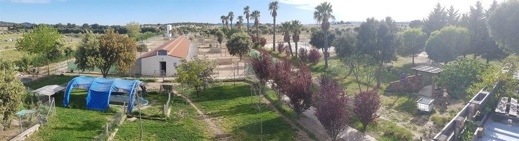 residencia canina mascout