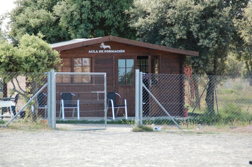 residencia canina mascout