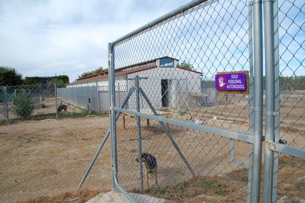 residencia canina mascout