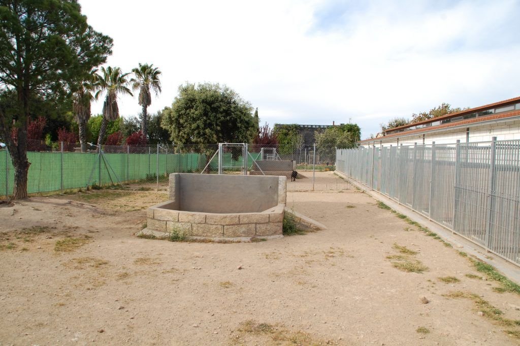 residencia canina mascout
