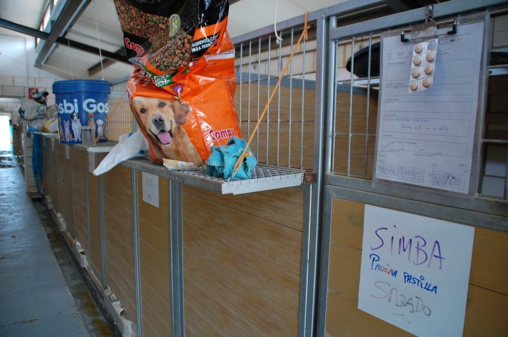 residencia canina mascout