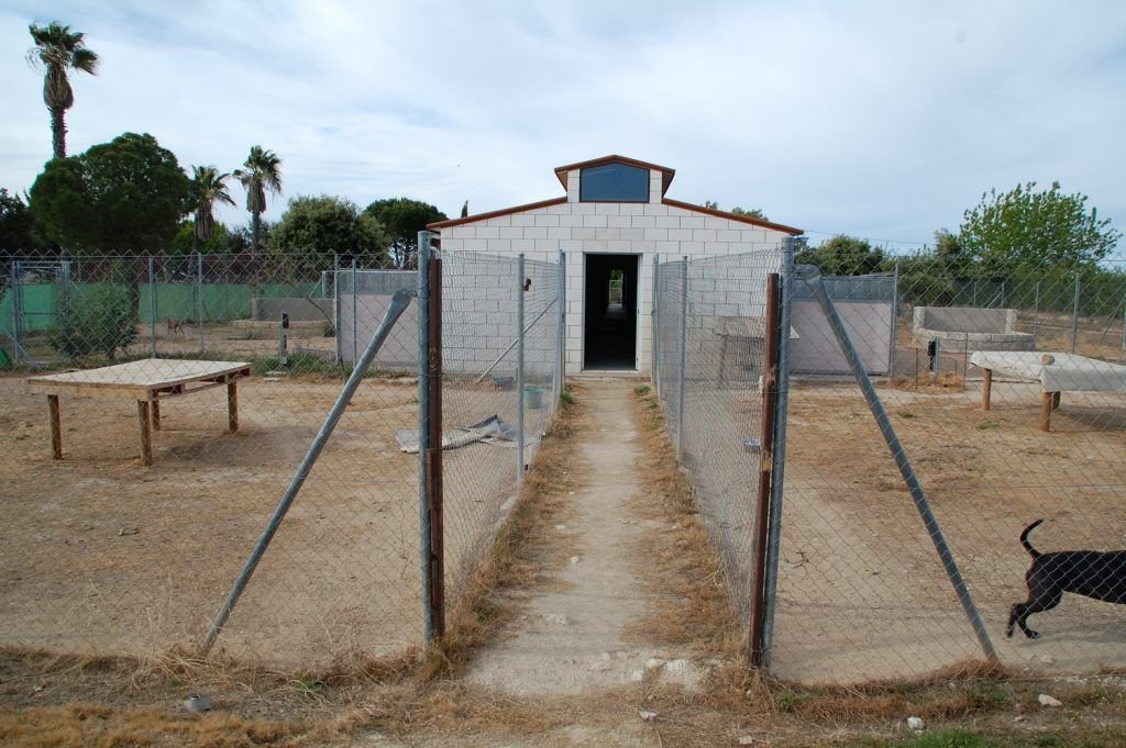 residencia canina mascout