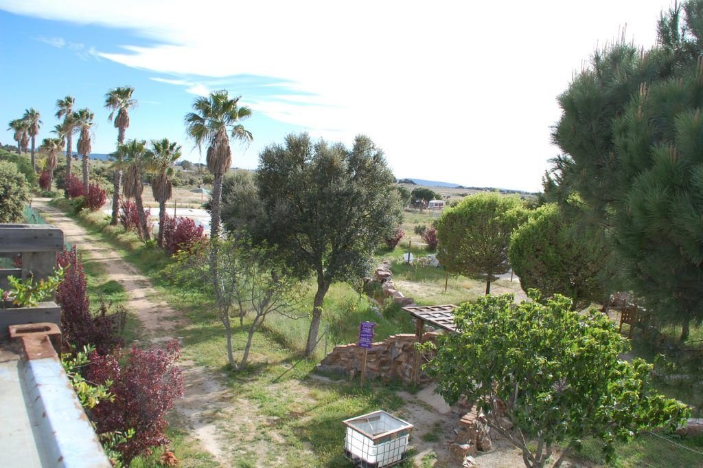 residencia canina mascout