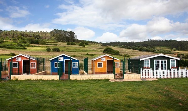 residencia canina de la noval