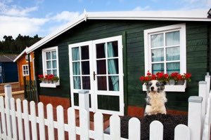 residencia canina de la noval