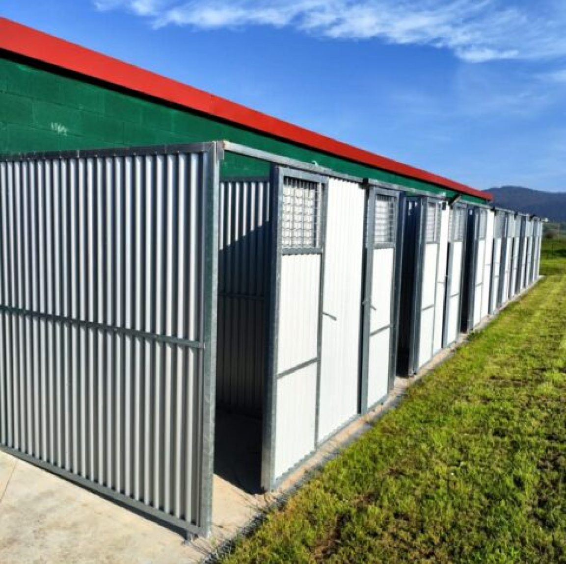 residencia canina mi fiel escudero