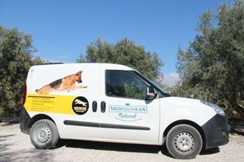 residencia canina ngorong ngorong