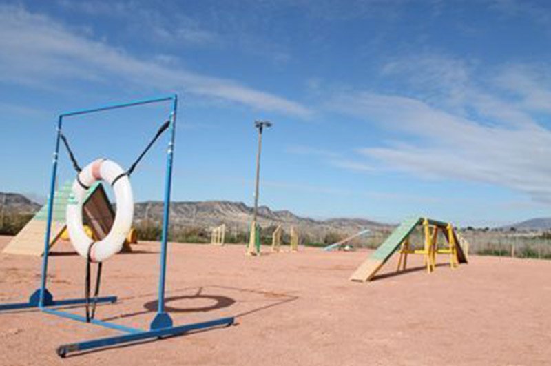 residencia canina ngorong ngorong