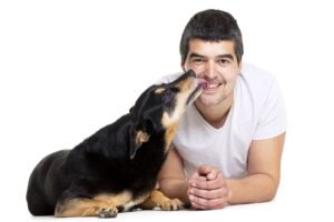 residencia canina de perro a perro