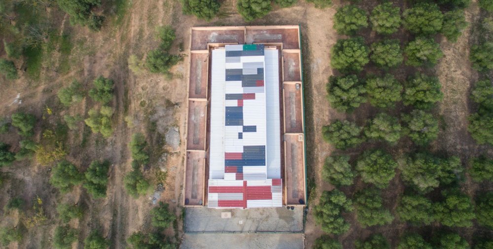 hotel de perros y gatos tres llunes en barcelona