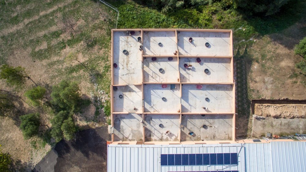 hotel de perros y gatos tres llunes en barcelona