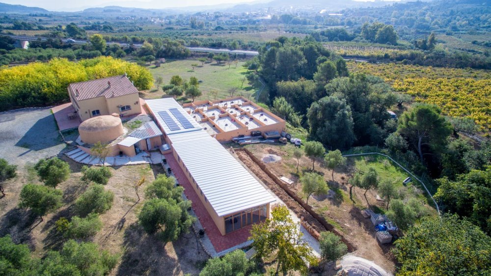 hotel de perros y gatos tres llunes en barcelona